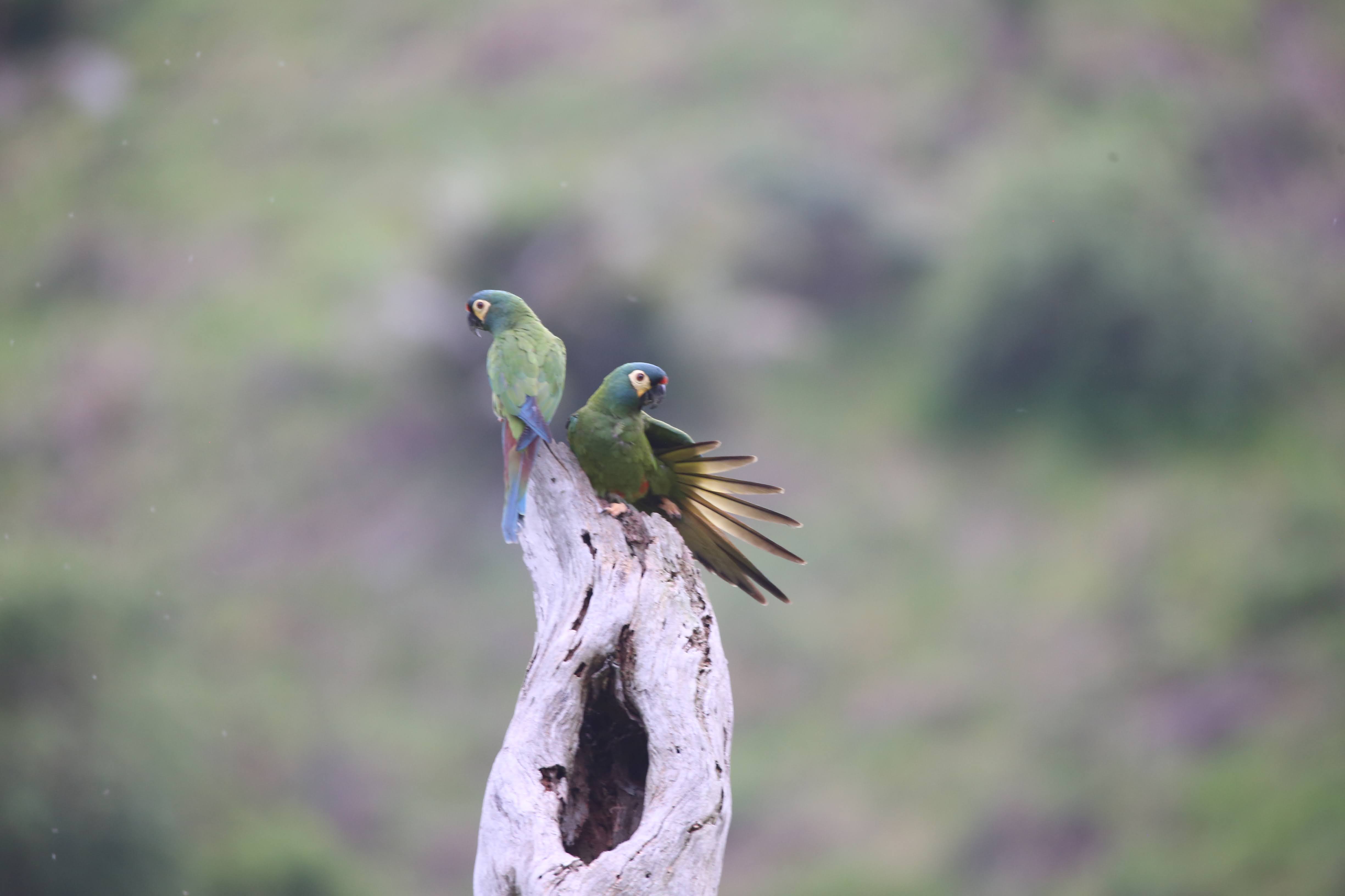 Depois de cortar as informações conhecidas em dezembro de 2023, a resposta exige uma lógica complexa de dedução com a opçã...